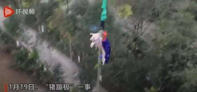 China's pig stunt