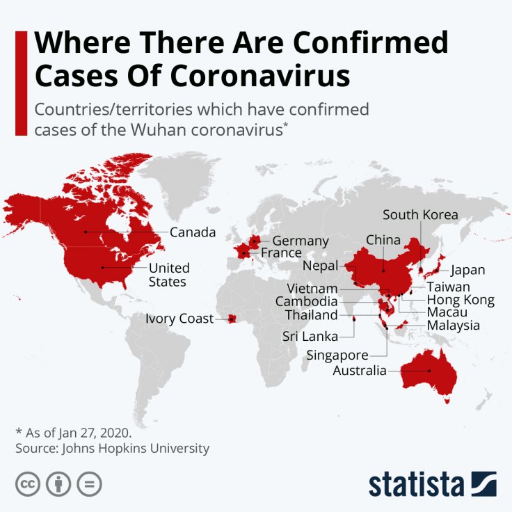 Confirmed cases of the 2019 coronavirus