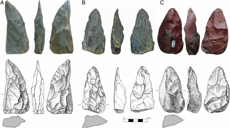 Stone artifacts from Chagyrskaya Cave, sublayer 6c/1. (AâC) Photographs, line drawings, and cross-sectional profiles of three plano-convex bifacial tools diagnostic of Micoquian Bocksteinmesser and Klausennischemesser types Stone artifacts from Chagyrskaya Cave, sublayer 6c/1. (AâC) Photographs, line drawings, and cross-sectional profiles of three plano-convex bifacial tools diagnostic of Micoquian Bocksteinmesser and Klausennischemesser types