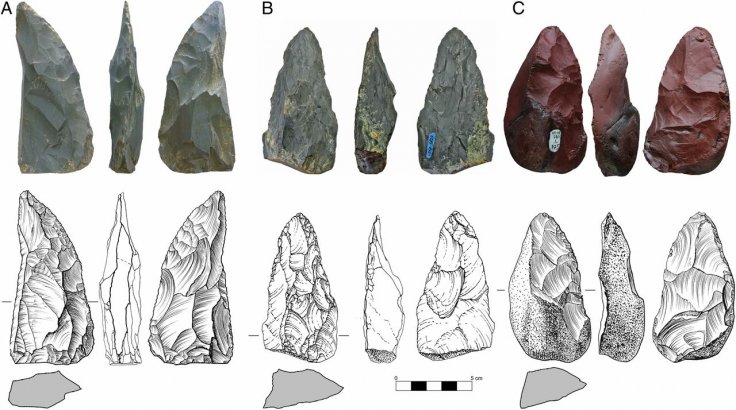 Stone artifacts from Chagyrskaya Cave, sublayer 6c/1. (A–C) Photographs, line drawings, and cross-sectional profiles of three plano-convex bifacial tools diagnostic of Micoquian Bocksteinmesser and Klausennischemesser types