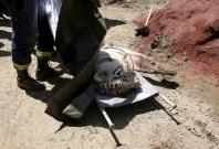 Picture for representation Picture for representation