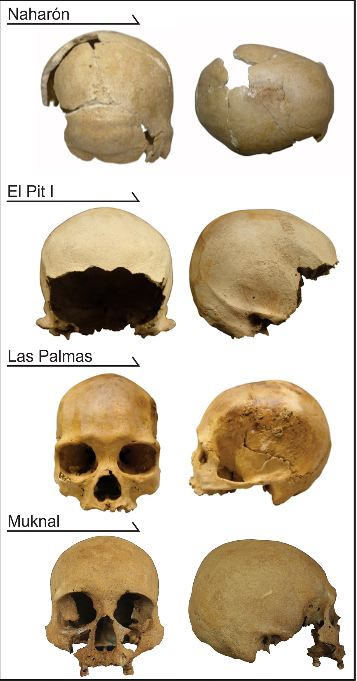 The early Quintana Roo specimens analyzed in this study. The early Quintana Roo specimens analyzed in this study.