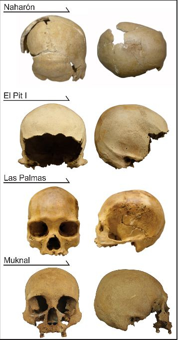 The early Quintana Roo specimens analyzed in this study.