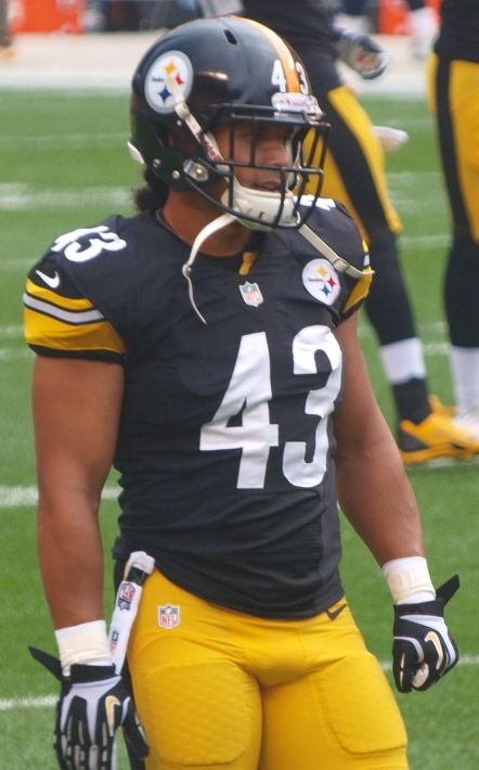 Troy Polamalu