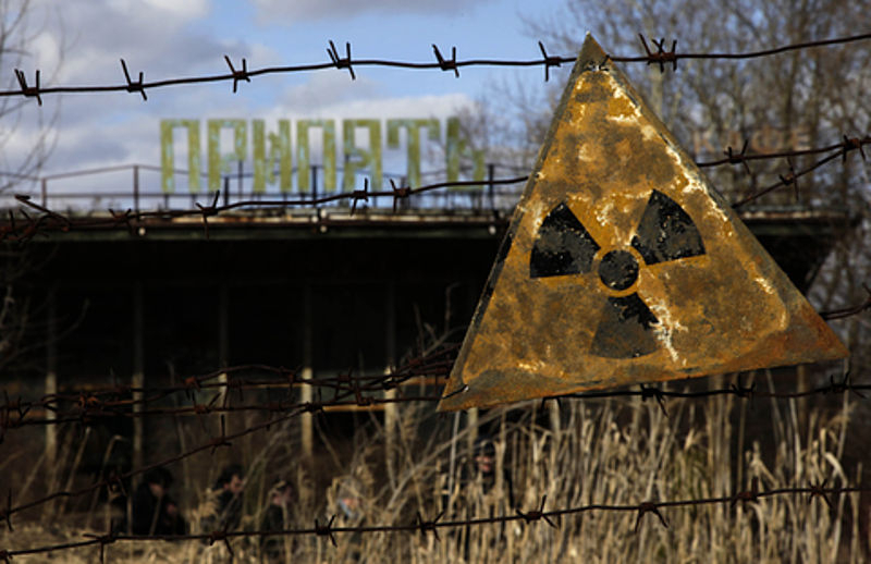 Fungi Discovered In Chernobyl Could Protect Humans And Astronauts From ...