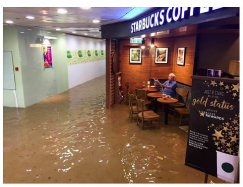 Starbucks Starbucks