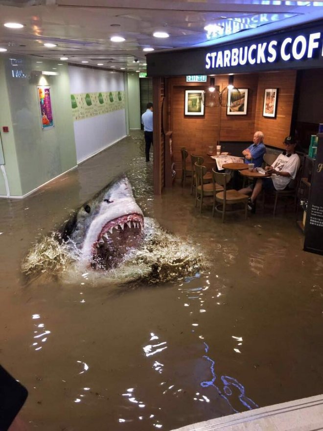 Starbucks Starbucks