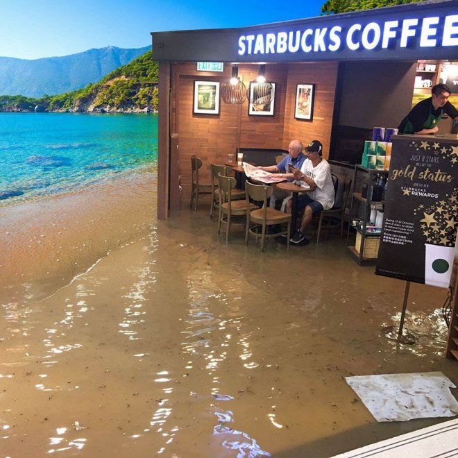 Starbucks Starbucks