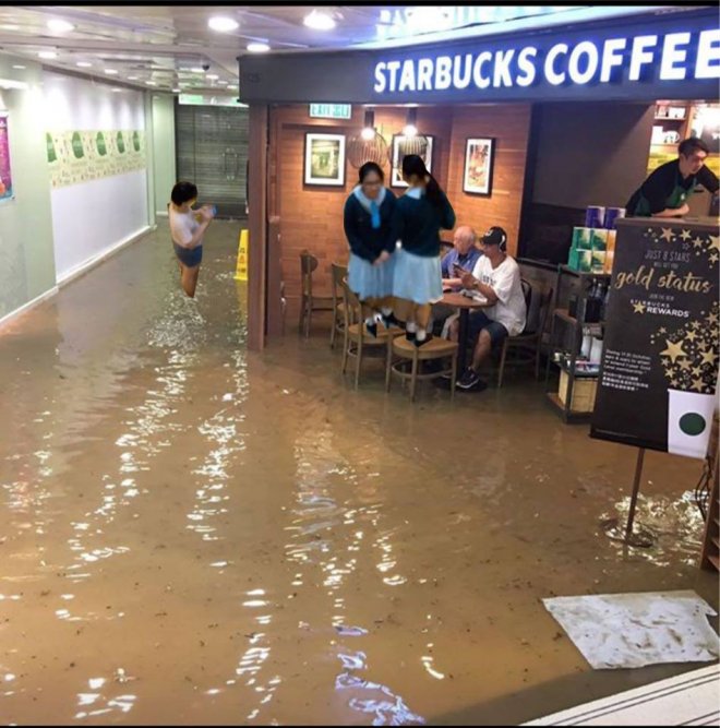 Starbucks Starbucks