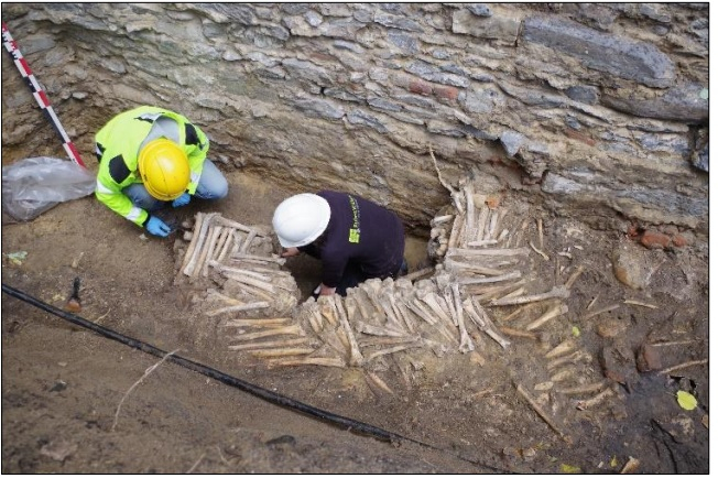 Belgium bone walls 