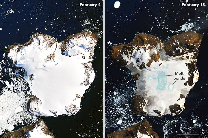 Satellite images show the effects of a prolonged warm spell on Eagle Island, in the far north of the Antarctic Peninsula, NASA says.