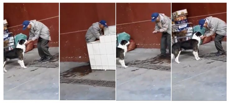 Old man feeding a thirsty stray dog