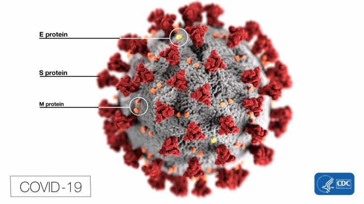 Coronavirus