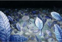 Rangeomorphs Rangeomorphs