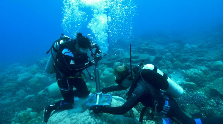 Underwater coral drilling