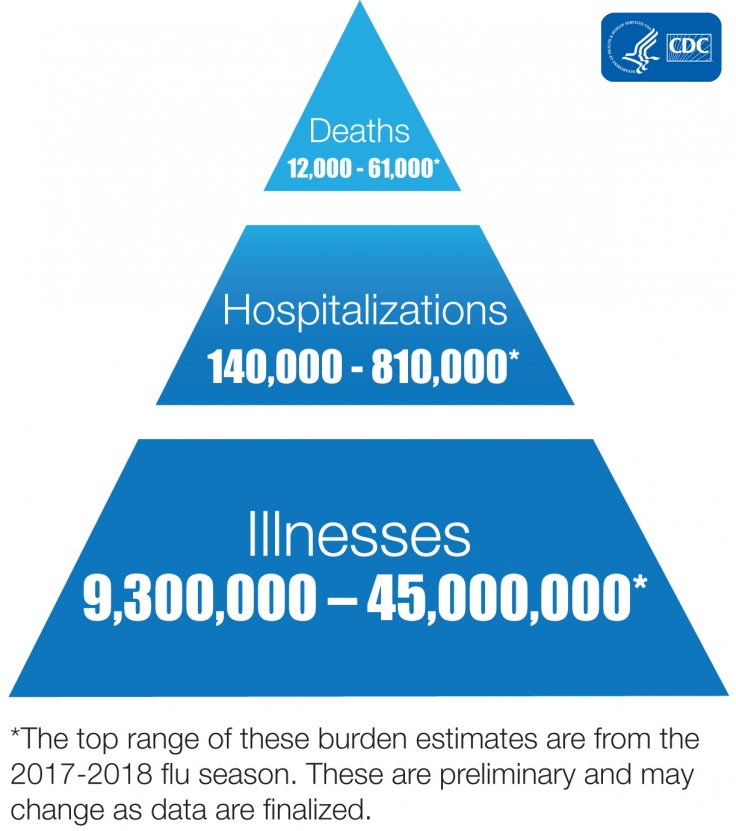 Estimated Range of Annual Burden of Flu in the U.S. since 2010