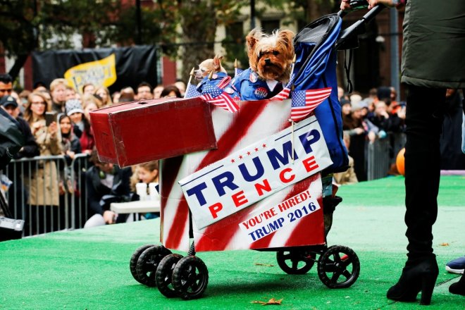 Halloween 2016: Take a look at these adorable puppies flaunting their costumes at 26th annual Halloween dog parade