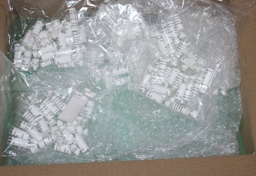 The US Customs and Border Protection officers have seized fake COVID-19 test kits at Los Angeles