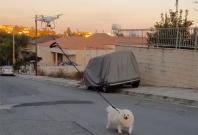 Man uses a drone to walk his pet dog due to Coronavirus lockdown in Cyprus. Man uses a drone to walk his pet dog due to Coronavirus lockdown in Cyprus.