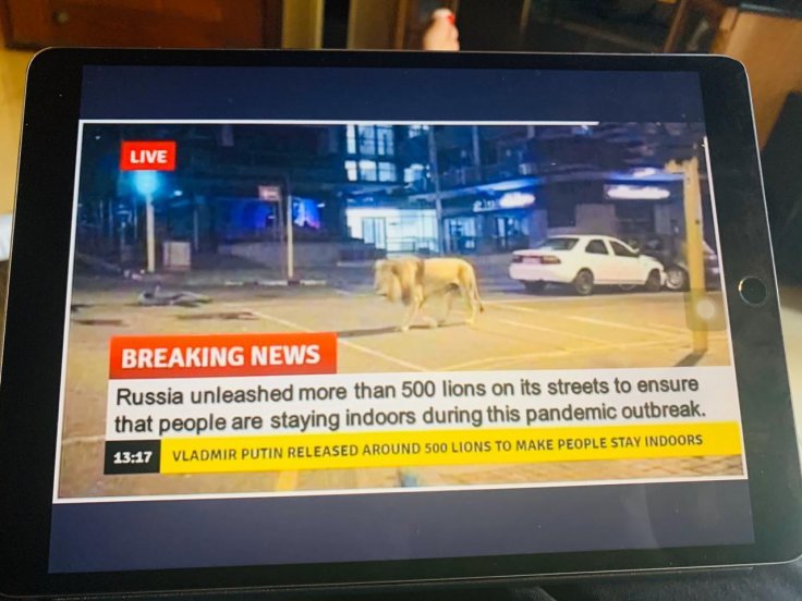 Russia tiger fake news