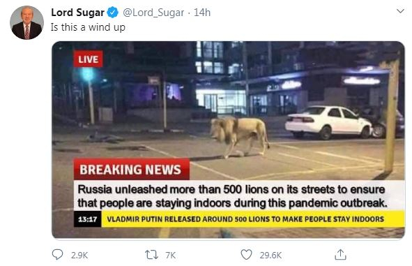 Alan Sugar Russian lion tweet