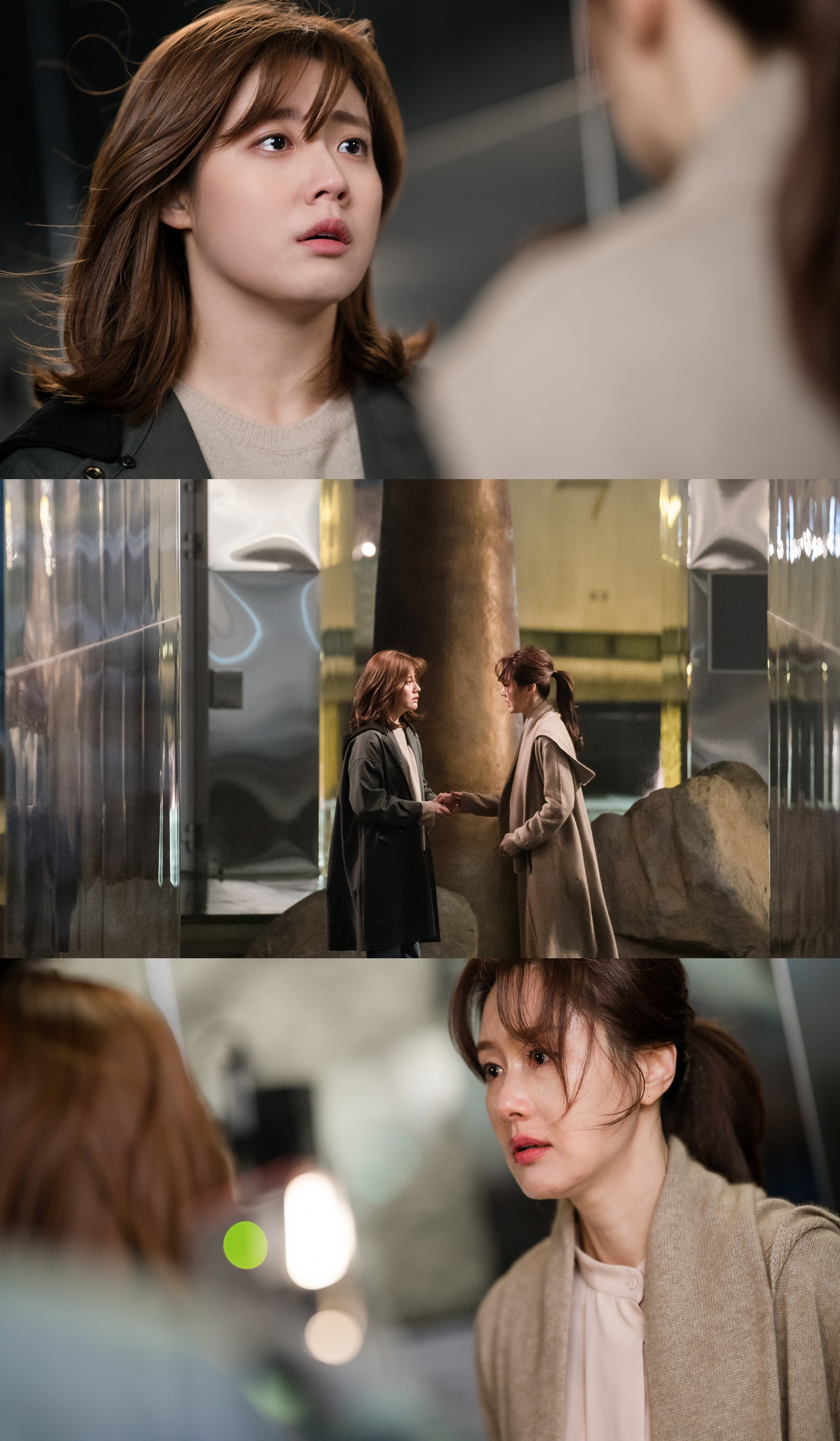 365: A Year of Defying Fate 