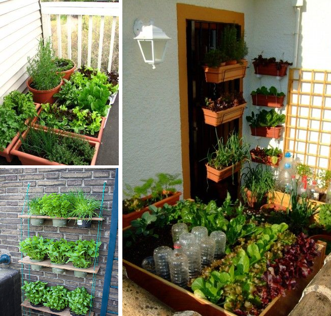 Balcony garden ideas