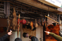 wildlife market in China wildlife market in China