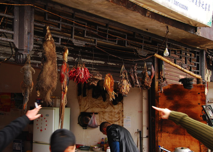 wildlife market in China