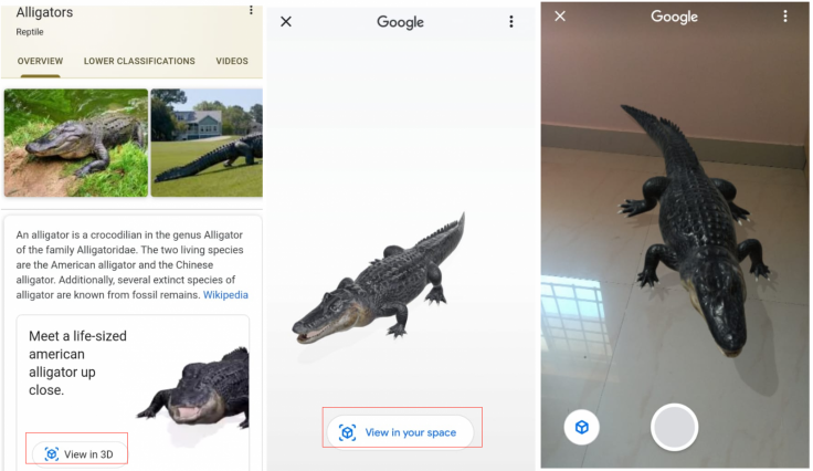 Bring 3D animals to your home with Google