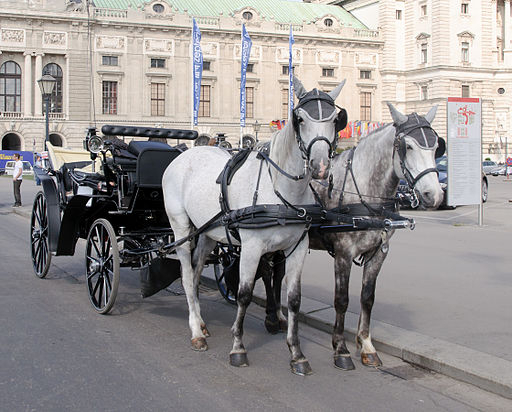 Horse-drawn carriage Horse-drawn carriage