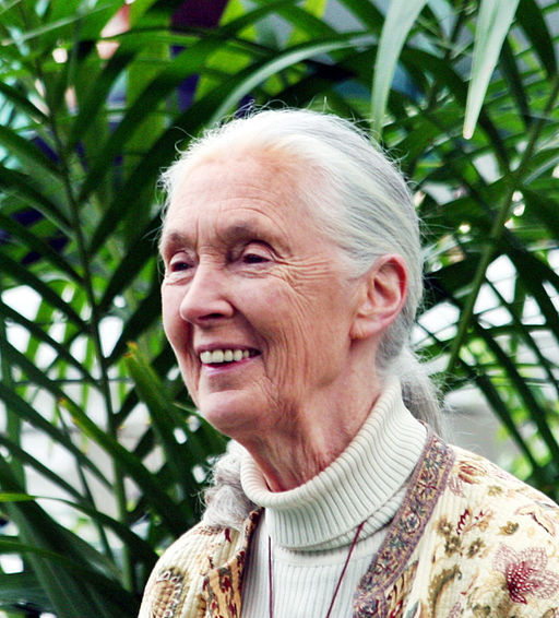Jane Goodall Jane Goodall