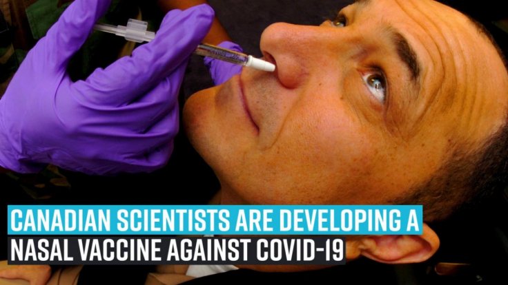 canadian-scientists-are-developing-a-nasal-vaccine-against-covid-19