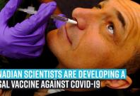 canadian-scientists-are-developing-a-nasal-vaccine-against-covid-19