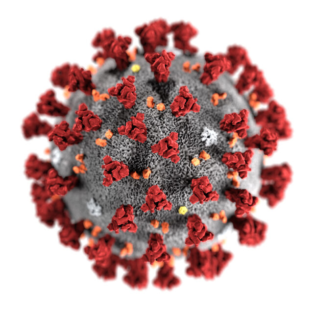 Novel Coronavirus