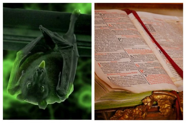 bats old testament bats old testament