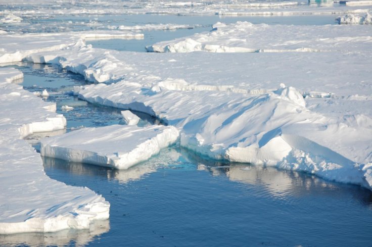 Arctic sea-ice