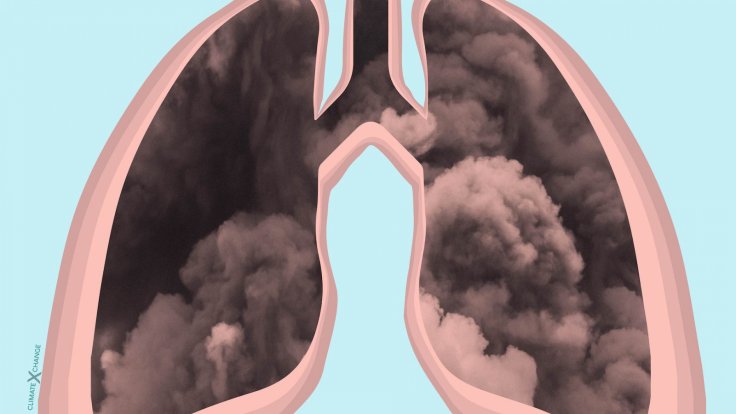 Lungs and pollution
