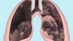 Lungs and pollution