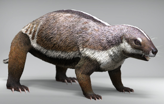 Adalatherium Skeleton 3D reconstruction with external features