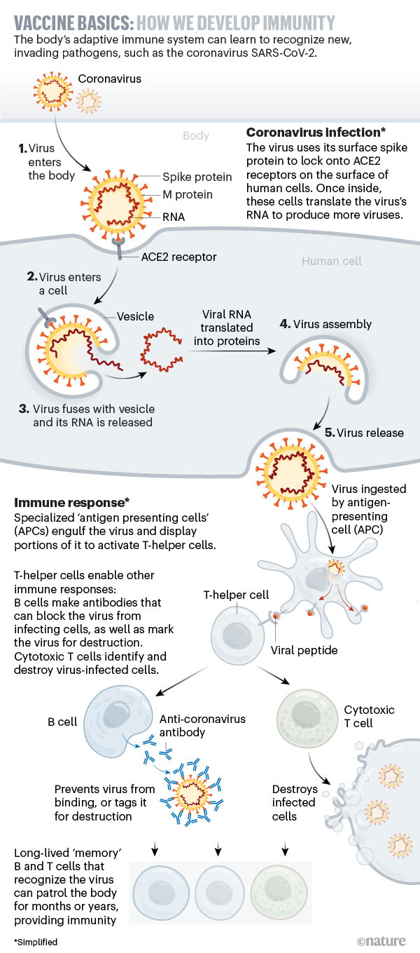 vaccine