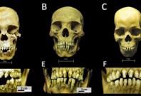 Skulls discoverd in Mexico