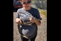 Arizona woman, who is 7-months pregnant, saves a 6-foot long snake from a road.  