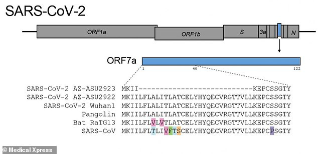 coronavirus coronavirus
