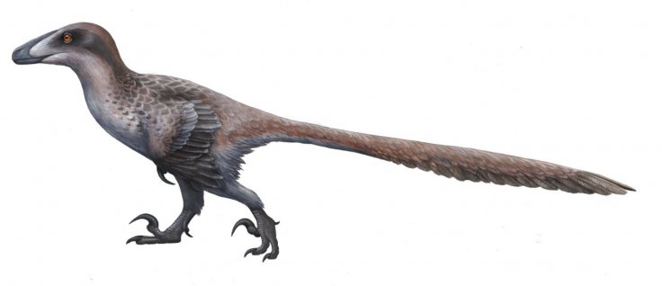 Deinonychus ewilloughby