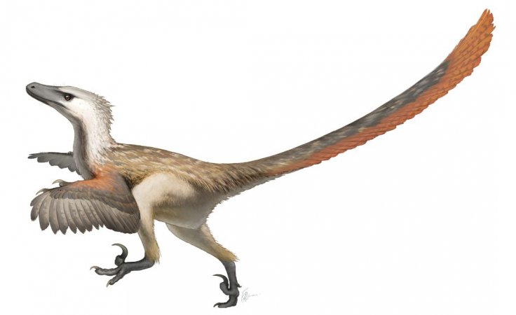 Velociraptor Restoration