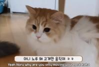 Gabsupasture Gabsupasture