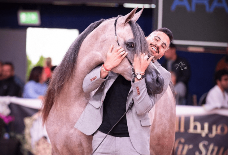 Mohamad AL-Sheikh Mohamad AL-Sheikh