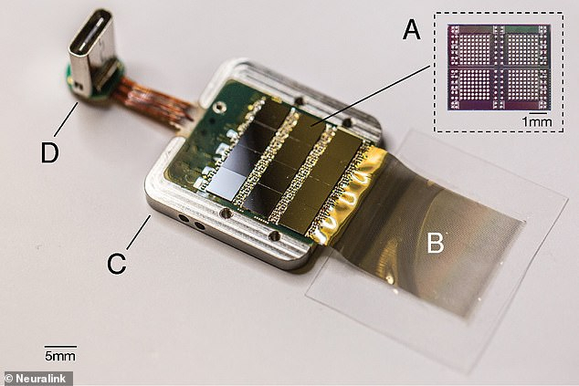 Chip that amplifies signals