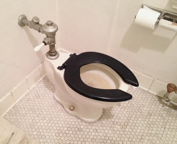 Toilet seat